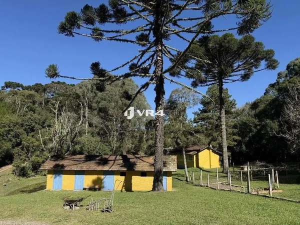 Chácara Pronta para Morar | Fácil Acesso BR-376 | com 44.473 m² , à venda por R$ 1.995.000 - Contenda - São José dos Pinhais/PR - foto 5