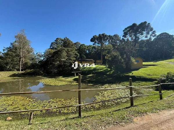 Chácara Pronta para Morar | Fácil Acesso BR-376 | com 44.473 m² , à venda por R$ 1.995.000 - Contenda - São José dos Pinhais/PR - foto 4