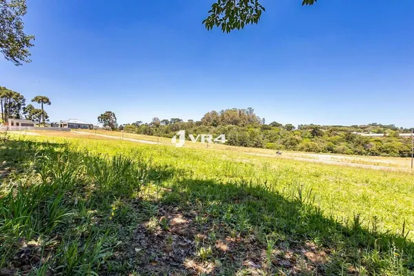 Terreno à venda, 884 m² por R$ 1.990.000,00 - Santa Felicidade - Curitiba/PR - foto 4